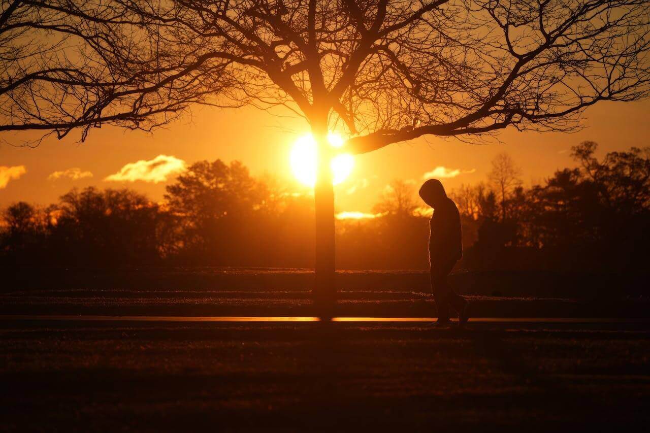 Central Park Pavilion